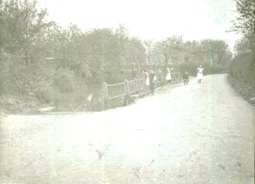 Holt St Pond c1900-an old glass negative. The Oak is just off to the right