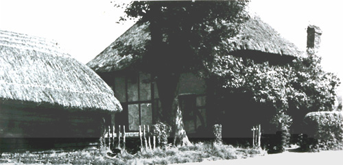 Easole-Thatched cottage bottom of Mill Lane with barn 1920's b&w crop