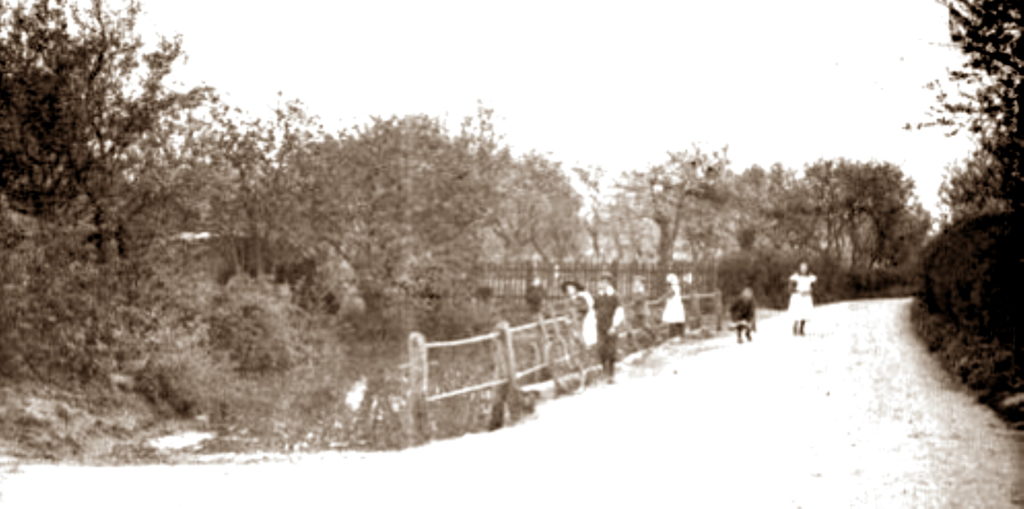 The pond opposite The Roal Oak in lower Holt St. from around 1900