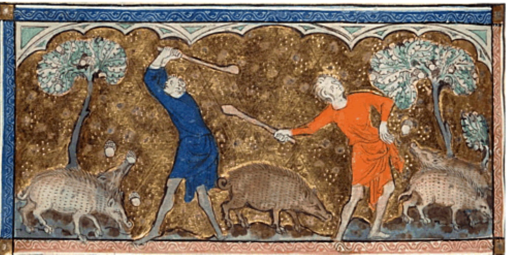 Swineherds beating down acorns for their pigs-Queen Mary Psalter, 1310-1320.