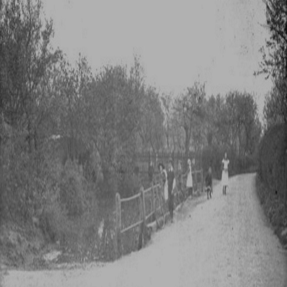 Holt St Pond c 1900